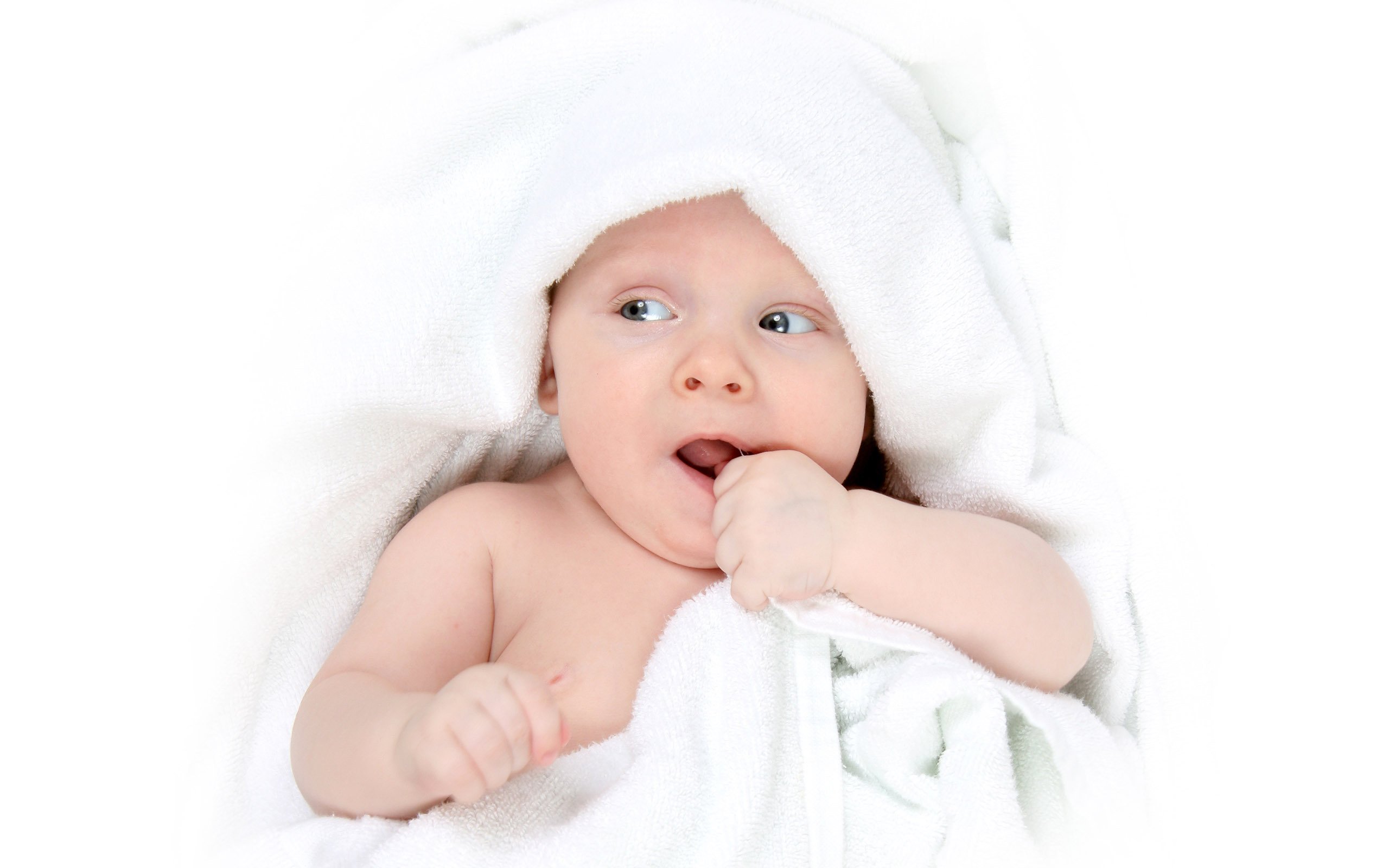 衡阳爱心捐卵机构试管婴儿胚囊成功率